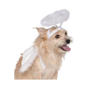 White Angel Wing and Halo Pet Costume Set, Small to Medium, Lightweight