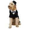 White Shirt and Bow Tie Dog Costume for Small Dogs