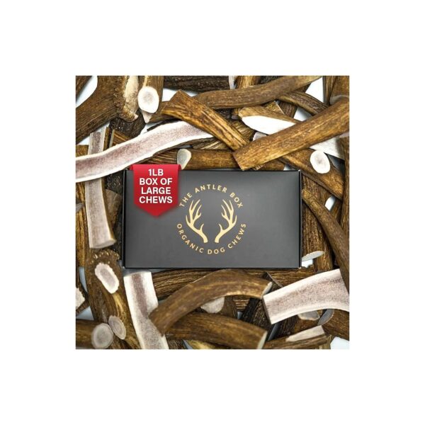 Whole and Split Mixed Elk Antler Chews in a 1-Pound Box for Healthy Dogs