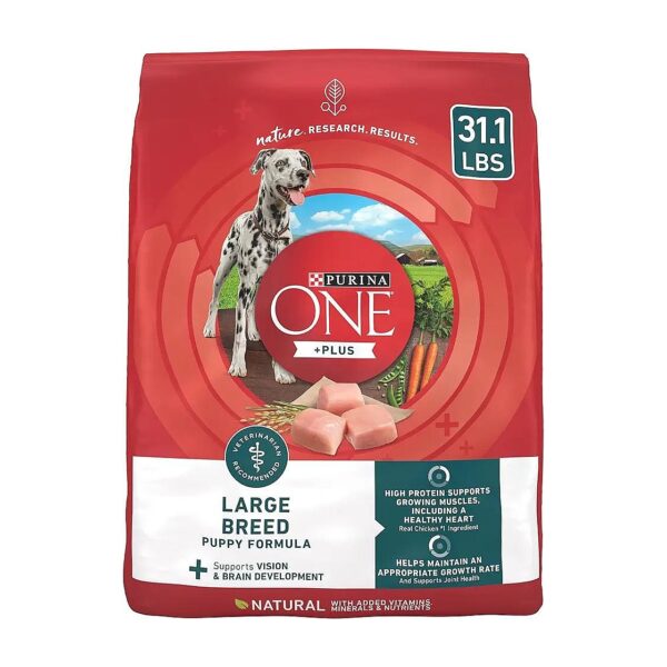 Wholesome Large Breed Puppy Food with Omega-6 Fatty Acids for Shiny Coat