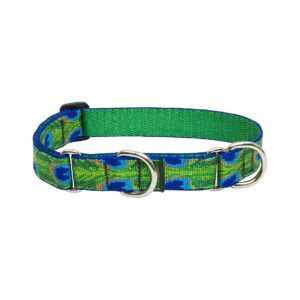 Wide 1 Inch Martingale Collar for Medium and Larger Dogs