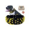 Wide Leather Studded Collars with Gold Studs for Pitbull and German Shepherd Breeds