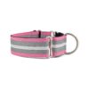 Wide Martingale Collars for Puppies and Dogs with a Comfortable Fit