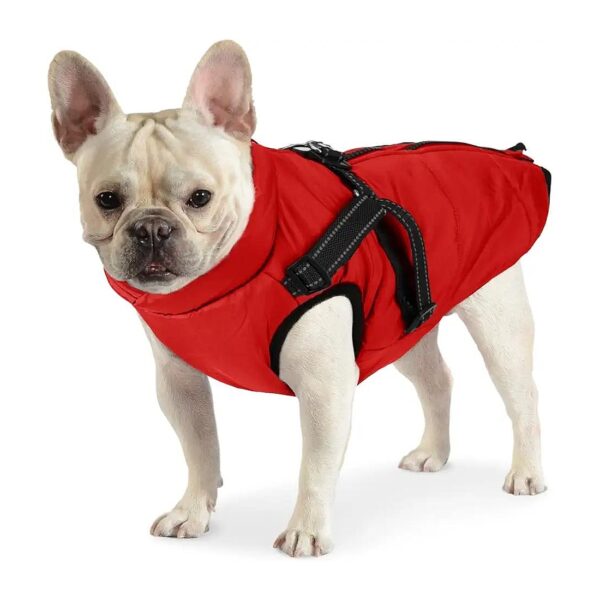 Windproof and Reflective Dog Winter Vest with Easy Wear Zipper and Snug Fit