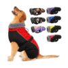 Winter Dog Coat with Buckle Thicken Turtleneck for Small Medium Extra Large Dogs