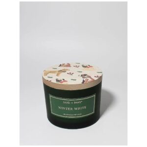 Winter White Scented 12oz Round White Can Indoor Use