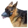 Wire Adjustable German Shepherd Dog Muzzle for Large Breeds with Durable Metal Basket