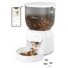 Wireless Automatic Cat Feeder with Up to 15 Portions and 10 Meals Per Day