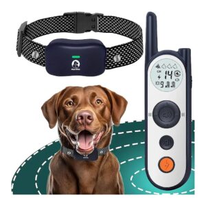 Wireless Dog Fence System for Up to 856 Acres with 6000FT Training Collar and Remote