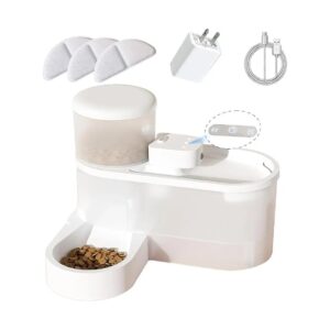 Wireless Pet Fountain and Gravity Feeder Set with Motion Sensor and Air Filter