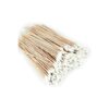 Wooden Cotton Swab for Pet Ear Cleaning and Oral Cavity Maintenance