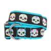 Worthy Dog Skeleton Sugar Skulls and Flowers Black Nylon Collar for Dog Walking