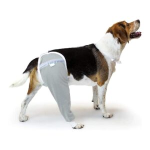 X-Large Gray Dog Hip and Thigh Wound Protective Sleeve, Recommended by Veterinarians