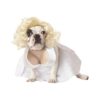 X-Small Dog Silver Screen Starlet Costume with Platinum Blonde Hair