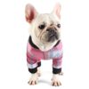 X-Small Dog Surgery Recovery Suit with Easy-On Buttons, Pet Medical Recovery Attire