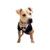 X-Small Dog Tuxedo Frenchie Mini Couture - Perfect for Small but Mighty Large Breed Dogs