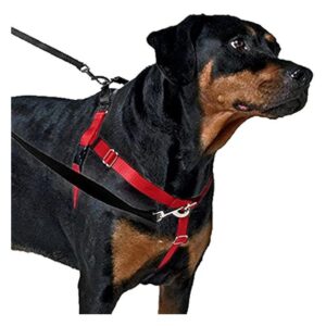 X-Small Red Solid Velvet No-Pull Harness For Small Breed Dogs