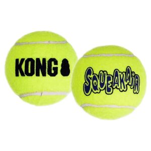 X-Small Size Squeaky Tennis Ball for Young and Old Dogs Alike