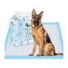 XL Large Dog Training Pads with Leak-Proof 6-Layer Material for Pets and Puppies