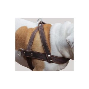 XLarge Brown Leather Dog Pulling Walking Harness 5" Wide Straps Heavy Duty