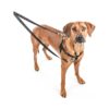 XLarge Brown No Pull Dog Harness with Solid Nylon Material and Adjustable Design