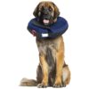 XLarge Inflatable Dog Collar with Calming Disc for Post-Surgery and Injury Protection