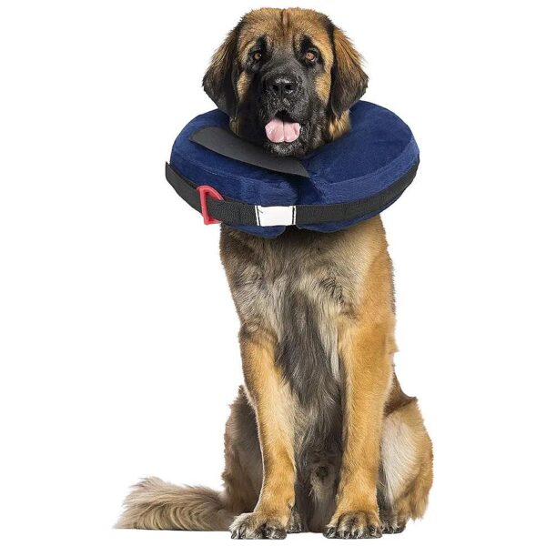 XLarge Inflatable Dog Collar with Calming Disc for Post-Surgery and Injury Protection