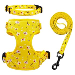 XS Adjustable Dog Harness with Leash and Collar Set for Small Dogs with Daisy Pattern