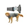 XXL Dog Surgical Recovery Suit for Comfortable Recovery After Spay or Neuter