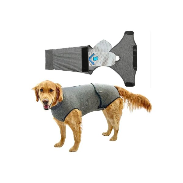 XXL Dog Surgical Recovery Suit for Comfortable Recovery After Spay or Neuter