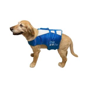 Year-Round Dog Life Jacket for Pool, Beach, and Boating