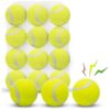 Yellow Floatable Squeaky Tennis Balls for Small to Medium Dogs