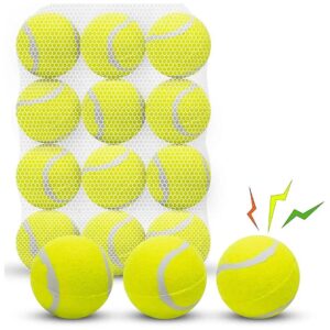 Yellow Floatable Squeaky Tennis Balls for Small to Medium Dogs