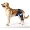 Your Pet's Safety and Comfort in Mind, Our Knee Braces for Dogs