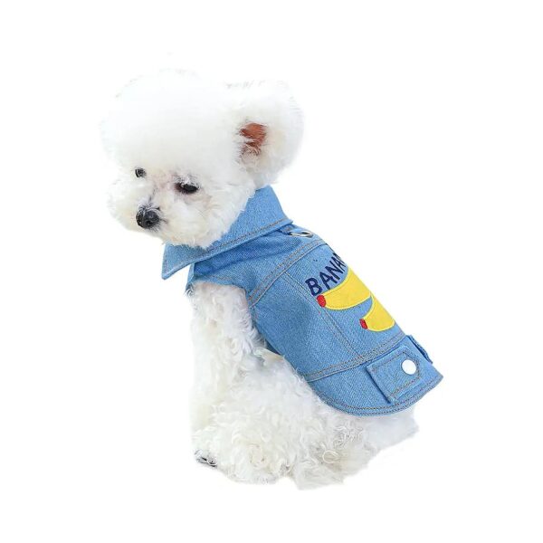 free Dog Denim Coat with Leash Ring, Perfect for Small Dog Girl Boy Outing