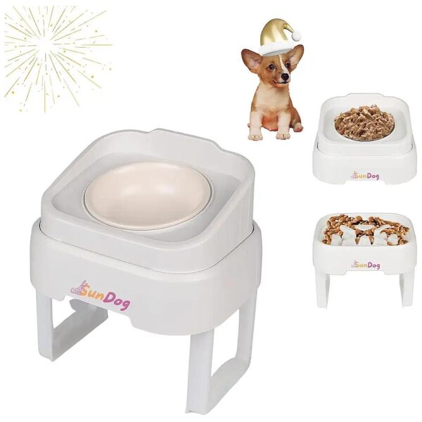 in-1 Dog Feeding Station with Adjustable Stacked Bowls and Easy Cleaning