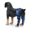 in Metal Spring and Adjustable Straps for Effective Pet Pain Relief