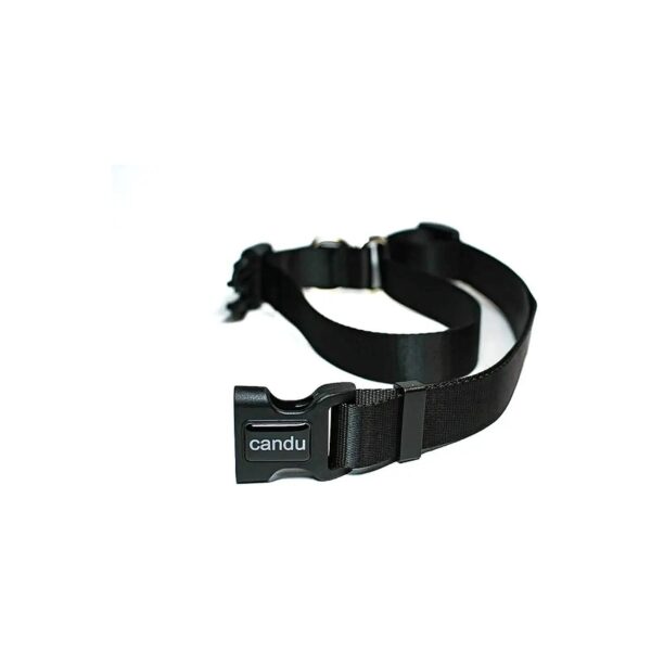 in-One Dog Collar Leash with Built-In Slip Lead for Small to Large Dogs