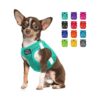 in Reflective Dog Harness for Small to Medium Dogs with Air Mesh and Safety Features