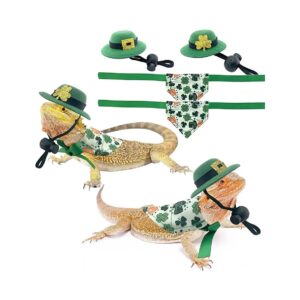 s Day Costume for Small Pet Lizards and Hamsters