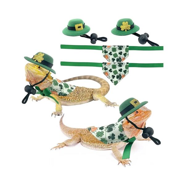 s Day Costume for Small Pet Lizards and Hamsters