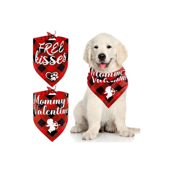 s Day Dog Gift - Red Black Checked Bandana Set