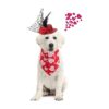 s Day Dog and Cat Heart Printed Bandana and Clip Set for Adjustable Wear