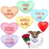 s Day Heart-Shaped Dog Toys 12-Piece Squeaky Plush Toys for Small Medium Large Puppy Dogs