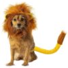 s Disney Lion King Simba Pet Costume Kit for Small and Medium Animals