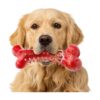 s Favorite Interactive Toy Shapes & Chews Challenge & Entertain Large & Medium Breed Dogs