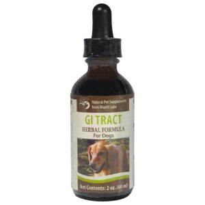 s GI Tract with Our Natural Formula