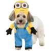 s Minion Bob Arms Pet Suit for Small Dogs with Step-In Shirt and Stuffed Arms