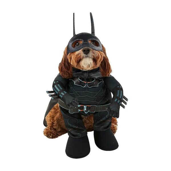 s Place in DC Comics' World with Medium Batman Pet Costume