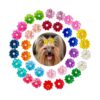 s Style with 80pcs Mix Small Dog Hair Grooming Bows for Puppies and Yorkies